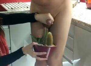 Cactus Insertion Porn - Very Small Clip: Let us see if your Cock like Cacti! - ThisVid.com