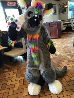 Female Only Furry Suit Porn - Just the right amount of rainbow for me! Ori, the Angel Dragon
