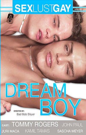 Bad Bob Porn - Dream Boy Porn Video Art