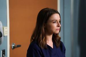 Amelia Greys Anatomy Porn - Grey's Anatomy Season 14, Episode 3 Recap: \