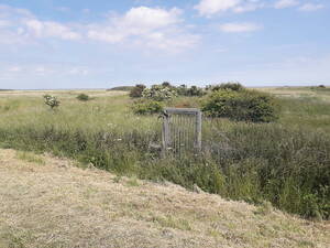 naturist nude beach blowjob - North Cotes - Northcoates Point - near Grimsby - Lincolnshire - Naturist  Beach - SWC