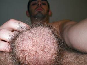 Gay Hairy Balls Porn - Hairy Male Balls Missionary Style | Gay Fetish XXX