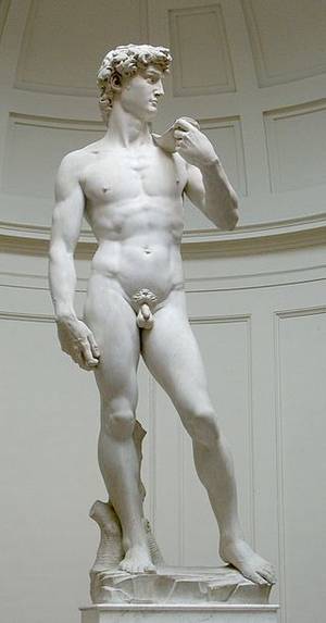 massive white cock tiny teen - Michelangelo's David in the Galleria dell'Accademia