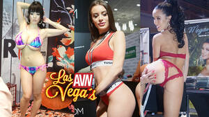 asian porn convention - AVN Adult Entertainment Expo - Day 1 - Asian Sex Diary