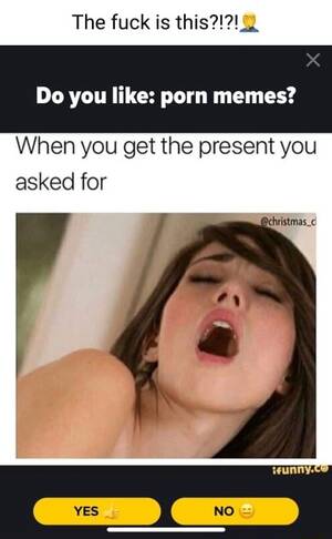 Funny Porn Memes - The fuck is Do you like: porn memes? When you get the present you asked for  - iFunny