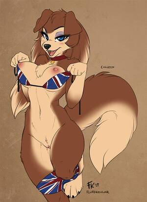 British Furry Porn - British [F] (fluff-kevlar) : r/furryporn