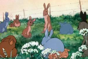 famous cartoon bambi xxx - Watership Down (1978)