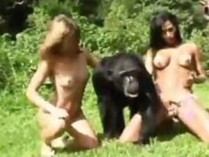 Monkey Sex - Monkey porn - Zoo Xvideos
