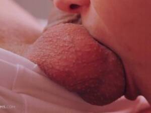 Licking Groin Porn - Testicle Licking Porn GIFs | Pornhub