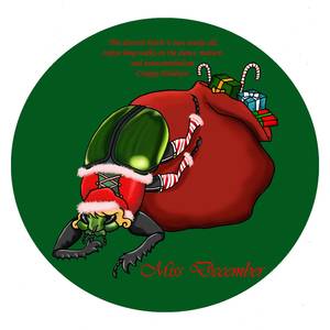 Frog Porn - December, BugPorn12.jpg