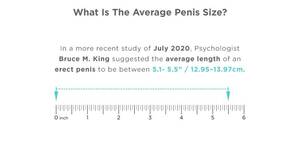 Average Penis Size Porn Star - Comparing The Average Penis Size And Pornstar Penis Size [2023]