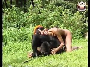 Monkey Sex With Brasilian Girls - Monkey And Brasilian Girls
