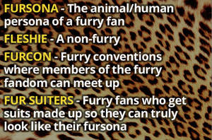 Furry Convention Extreme Adult Porn - Definitions box