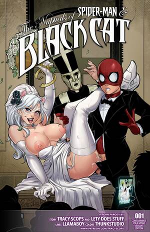 black cat shemale - The Nuptials of Spider-Man & Black Cat- LLamaboy - Porn Cartoon Comics