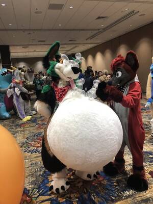 Fat Fursuit Porn - This fursuit with a giant belly with condom balloon animals at the  inflatables panel in a recently held furry convention : r/awfuleverything