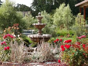 Bird Bath Porn - Garden Porn