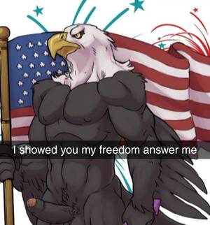 Eagle Porn - FurryðŸ‡ºðŸ‡¸irl : r/furry_irl