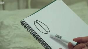 Mp Big Mac Porn - Big Mac Vagina: Woman draws oversized genitals for BBC  dochttps://metro.co.uk/video/big-mac -vagina-woman-draws-oversized-genitals-bbc-doc-1426661/