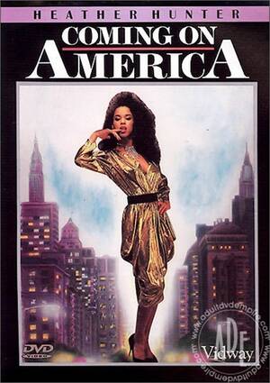 Coming America Porn - Coming On America | Global Media | Adult DVD Empire
