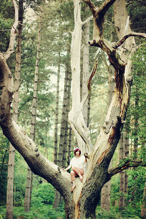 Forest People Porn - Tree Porn