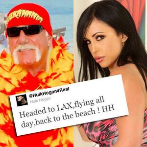 Does Brooke Hogan Porn - Hulk Hogan Takes On Porn Star â€“ On Twitter