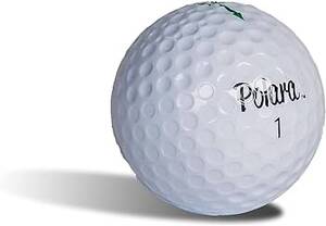 Funny Golf Ball Anal Porn - Amazon.com : Polara Ultimate Straight Premium Golf Balls | Hook and Slice  Correction | Handicap Range 12+ | Perfect for Recreational Golfers | 1  Dozen (12-Balls) | 2pc Construction of Central Core