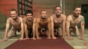 Gay Bondage Orgy Porn - Crazy Gay BDSM Orgy with Five Submissive Dudes Fucked | Any Porn
