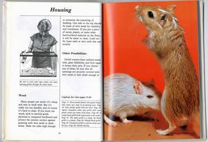 Gay Gerbil Porn - would result in being thrust knee deep in animal porn? I'm fairly sure the  entire Furrbie craze can be traced back to this manual.
