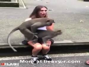 Monkey Porn Bestiality - static.heavy-r.com/scr/d8/57/53/d857534cd114918_3....