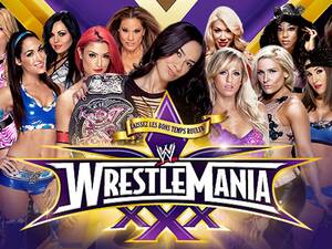 Aj Lee Alicia Fox Porn - WrestleMania 30 match preview: Divas Championship Invitational - Cageside  Seats
