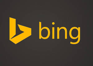 Bing Revenge Porn - The company has created a form that helps remove links related to revenge  porn. Victims and others affected can submit a form with Microsoft to have  this ...