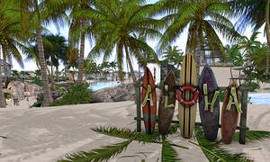 bbw nude beach couples - Paradise Palm Beach | Second Life Destinations