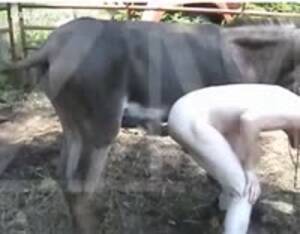 bbw donkey sex - Donkey - Extreme Porn Video - LuxureTV
