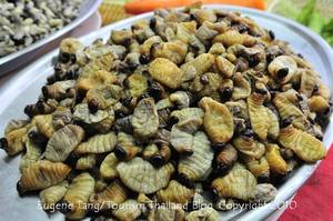 nasty asian food porn - Thailand exotic food: Rhinoceros Beetle Larvae (Oryctes Rhinoceros L.