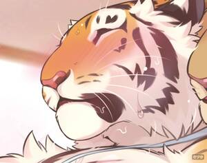 Furry Tiger - Human male, furry / anthro female: TIGER -â€¦ ThisVid.com