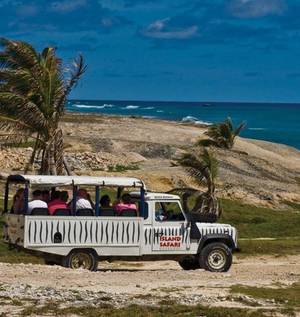 Barbados Sugar Porn - Island Safari Barbados jeep tours offer an experience of a lifetime! Head  off the beaten