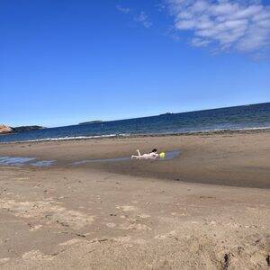 chicago beach voyeur - TOP 10 BEST Nude Beach in Boston, MA - December 2023 - Yelp