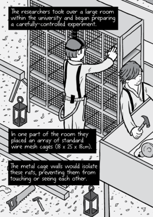 Lab Rats Comics Porn - Rat Park drug experiment comic â€“ Stuart McMillen comics