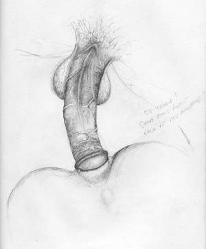 erotic anal sex drawings - So Nice. pencil sketch of anal sex