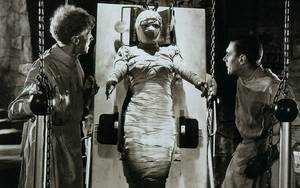 Costume Of Frankenstrin Brife Porn - Sexy Bride of Frankenstein | Boris Karloff Frankenstein Nude and Porn  Pictures