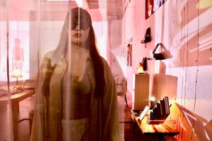 Federal Way Asian Porn - New exhibit at the Asian Arts Initiative highlights erotic art - WHYY