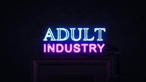 Neon Light Porn - 0:12 Adult Industry Neon Sign Turning on and Off