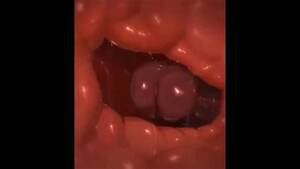 Furry Porn Close Up - Watch yiff/furry compilation 3 - 2D, Yiff, Furry Porn - SpankBang