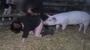 Fuck Pig Slut - Slut fucked by a pig