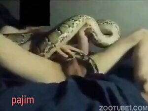 Man Fucks Snake Porn - Snake Zoophilia Porn Videos