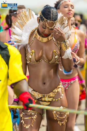 caribbean indian girls nude - thecarnivalsexstory: Caribbean Girl