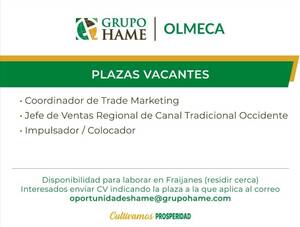 Big Hero 6 Porn Shadbase - Plazas vacantes â€“ Page 2 â€“ Grupo Hame