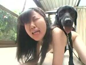 d 0g fucking asian - Asian gets it from the dog - LuxureTV