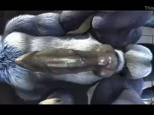 Anthro Feral Yiff Porn - furry animation anthro on feral sex gay, uploaded by Upacom