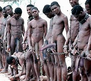 1800s Slavery Porn - Xxx black slaves 1800s xxx - Black slave porn african slave women nude  image fap jpg